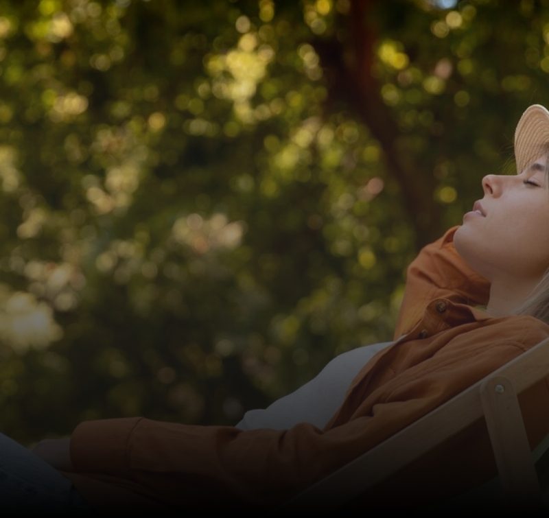 Orion telekom budi slobodan