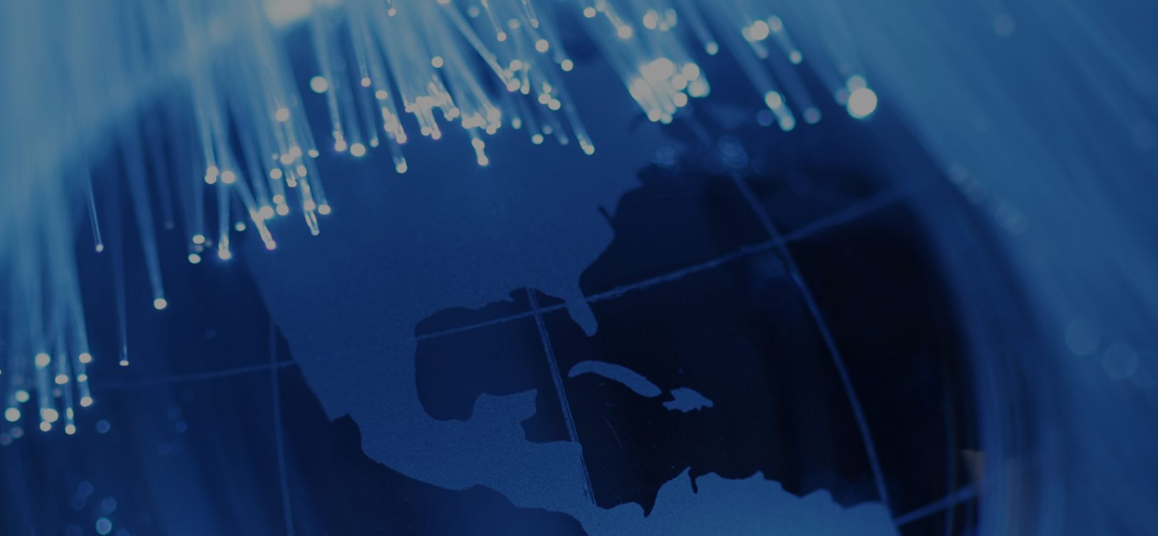 Orion telekom wholesale